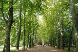 Chenonceau (1)